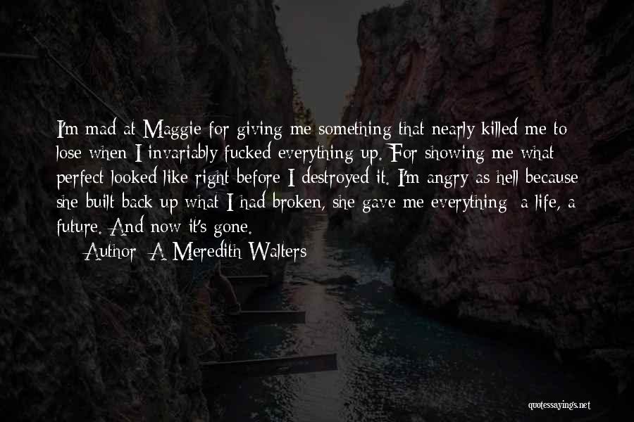 A Meredith Walters Quotes: I'm Mad At Maggie For Giving Me Something That Nearly Killed Me To Lose When I Invariably Fucked Everything Up.