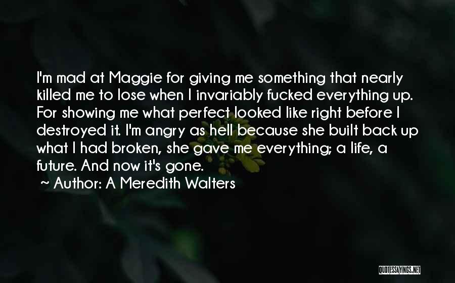 A Meredith Walters Quotes: I'm Mad At Maggie For Giving Me Something That Nearly Killed Me To Lose When I Invariably Fucked Everything Up.