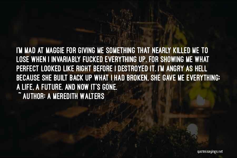 A Meredith Walters Quotes: I'm Mad At Maggie For Giving Me Something That Nearly Killed Me To Lose When I Invariably Fucked Everything Up.