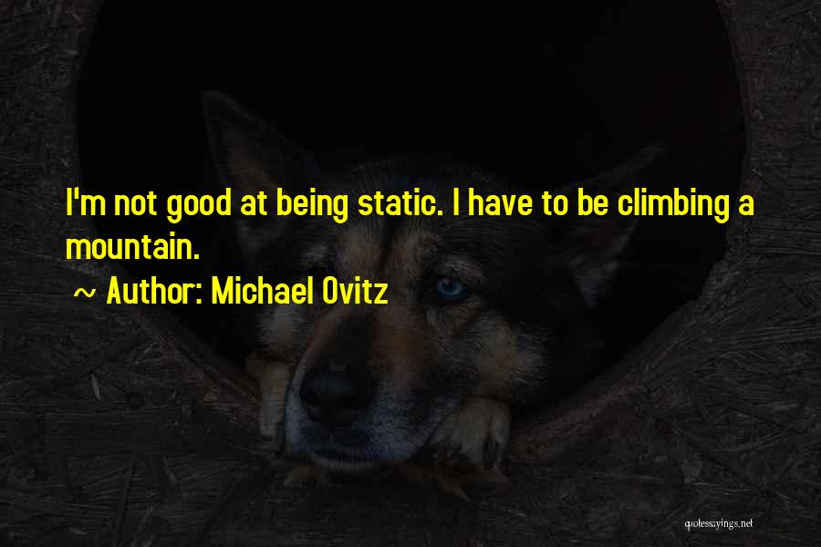 Michael Ovitz Quotes: I'm Not Good At Being Static. I Have To Be Climbing A Mountain.