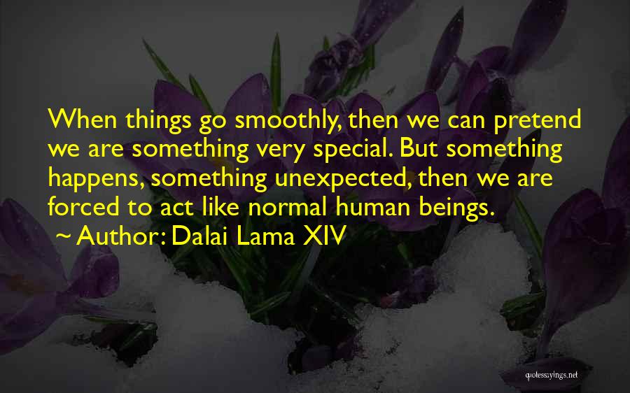 Dalai Lama XIV Quotes: When Things Go Smoothly, Then We Can Pretend We Are Something Very Special. But Something Happens, Something Unexpected, Then We