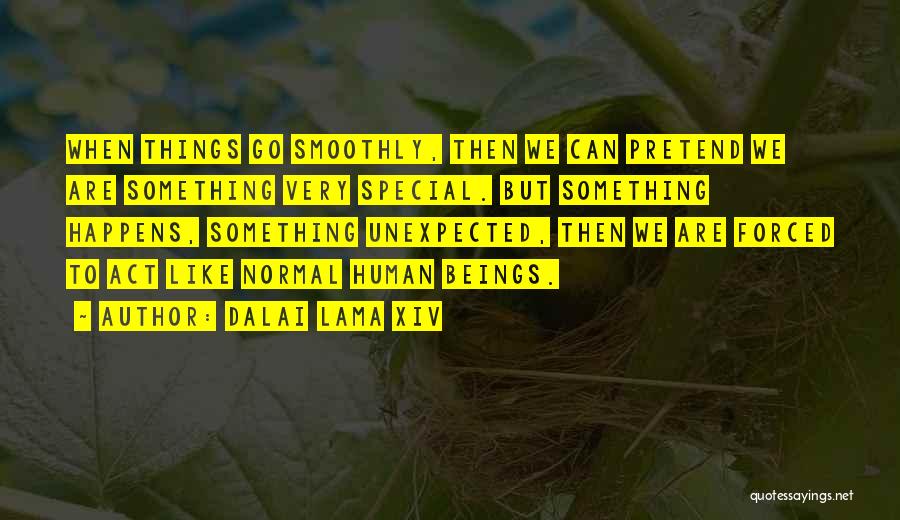 Dalai Lama XIV Quotes: When Things Go Smoothly, Then We Can Pretend We Are Something Very Special. But Something Happens, Something Unexpected, Then We