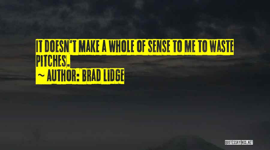 Brad Lidge Quotes: It Doesn't Make A Whole Of Sense To Me To Waste Pitches.