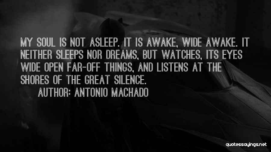 Antonio Machado Quotes: My Soul Is Not Asleep. It Is Awake, Wide Awake. It Neither Sleeps Nor Dreams, But Watches, Its Eyes Wide