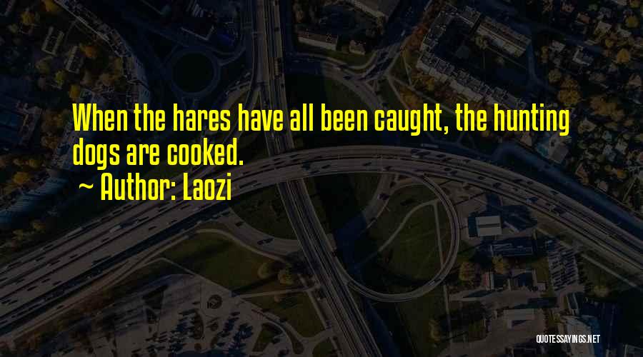 Laozi Quotes: When The Hares Have All Been Caught, The Hunting Dogs Are Cooked.