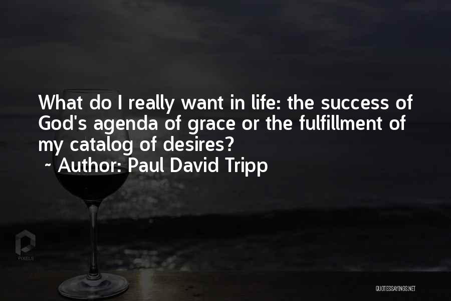 Paul David Tripp Quotes: What Do I Really Want In Life: The Success Of God's Agenda Of Grace Or The Fulfillment Of My Catalog