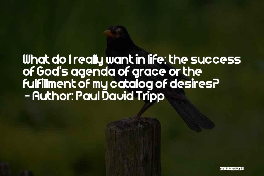 Paul David Tripp Quotes: What Do I Really Want In Life: The Success Of God's Agenda Of Grace Or The Fulfillment Of My Catalog