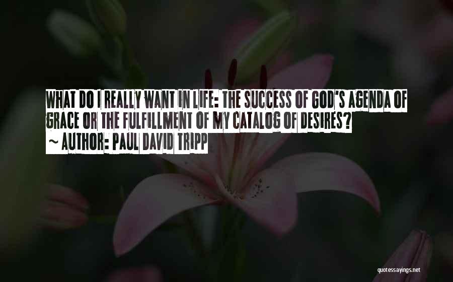 Paul David Tripp Quotes: What Do I Really Want In Life: The Success Of God's Agenda Of Grace Or The Fulfillment Of My Catalog