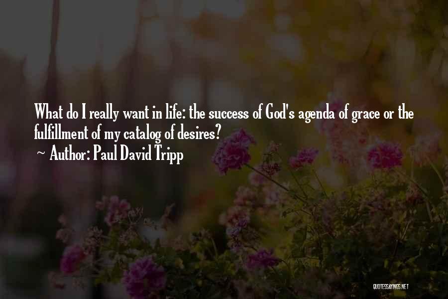 Paul David Tripp Quotes: What Do I Really Want In Life: The Success Of God's Agenda Of Grace Or The Fulfillment Of My Catalog