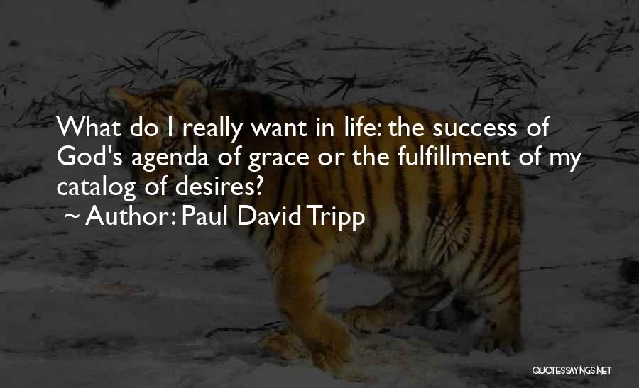 Paul David Tripp Quotes: What Do I Really Want In Life: The Success Of God's Agenda Of Grace Or The Fulfillment Of My Catalog