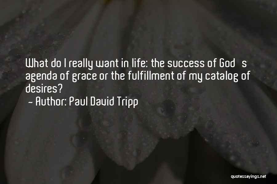 Paul David Tripp Quotes: What Do I Really Want In Life: The Success Of God's Agenda Of Grace Or The Fulfillment Of My Catalog