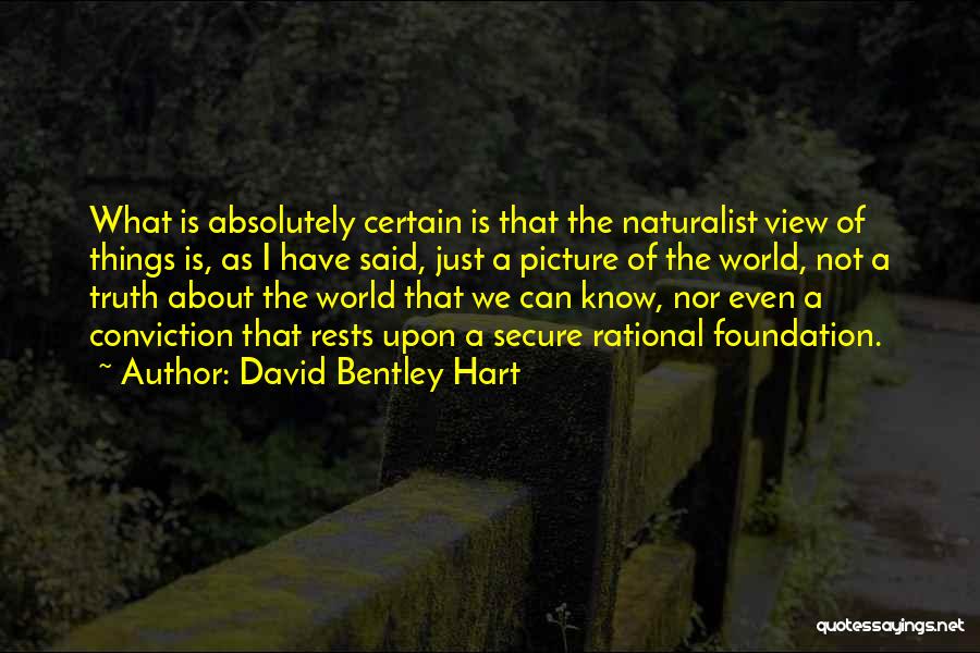David Bentley Hart Quotes: What Is Absolutely Certain Is That The Naturalist View Of Things Is, As I Have Said, Just A Picture Of