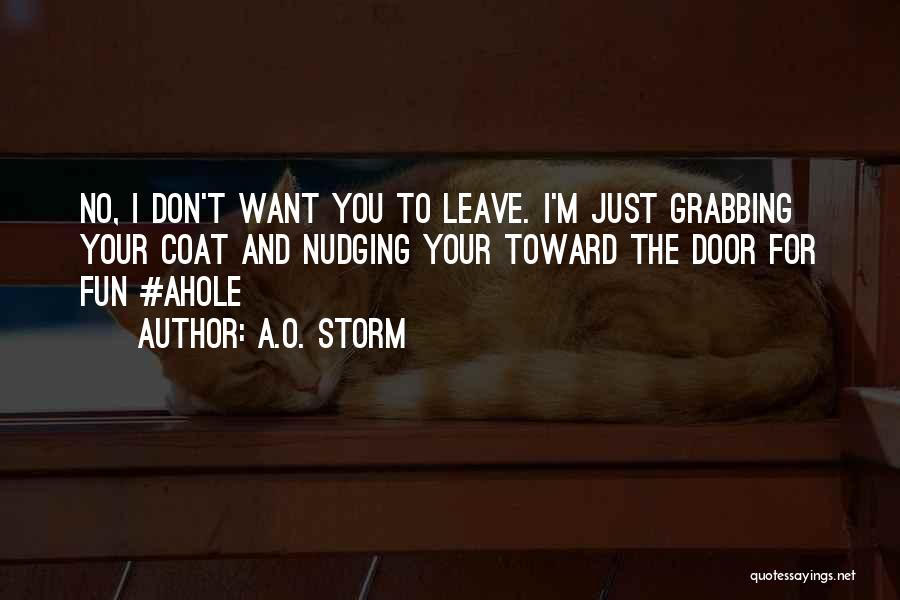 A.O. Storm Quotes: No, I Don't Want You To Leave. I'm Just Grabbing Your Coat And Nudging Your Toward The Door For Fun