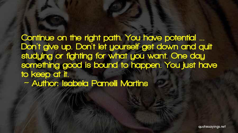 Isabela Pamelli Martins Quotes: Continue On The Right Path. You Have Potential ... Don't Give Up. Don't Let Yourself Get Down And Quit Studying