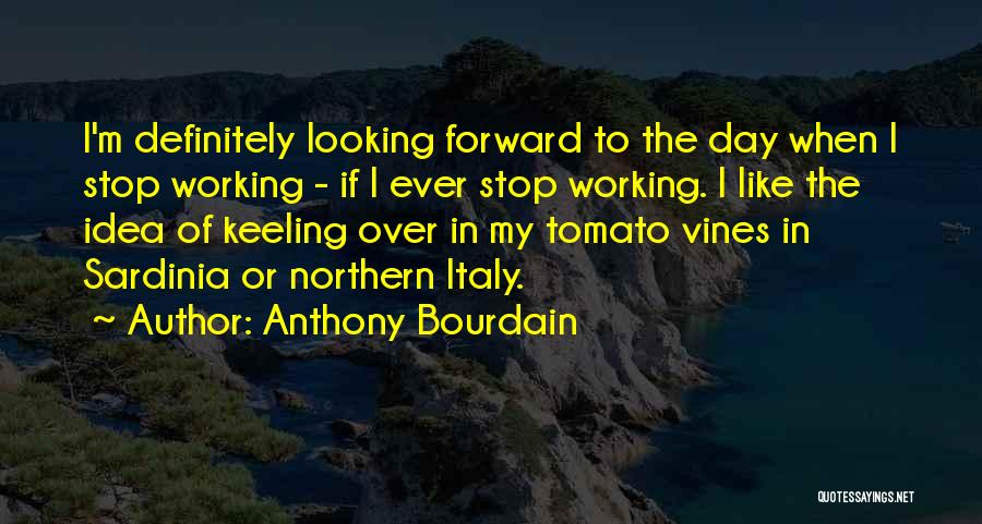 Anthony Bourdain Quotes: I'm Definitely Looking Forward To The Day When I Stop Working - If I Ever Stop Working. I Like The