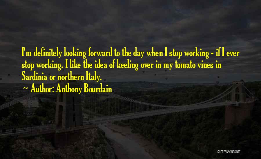 Anthony Bourdain Quotes: I'm Definitely Looking Forward To The Day When I Stop Working - If I Ever Stop Working. I Like The