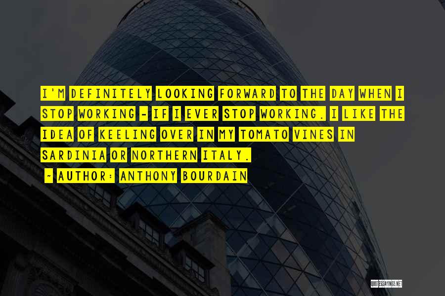 Anthony Bourdain Quotes: I'm Definitely Looking Forward To The Day When I Stop Working - If I Ever Stop Working. I Like The