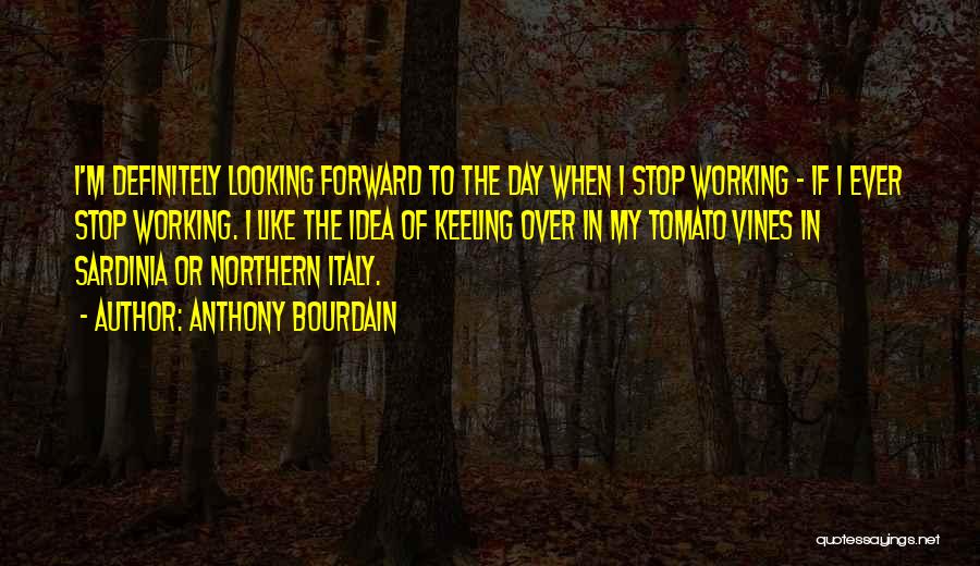 Anthony Bourdain Quotes: I'm Definitely Looking Forward To The Day When I Stop Working - If I Ever Stop Working. I Like The