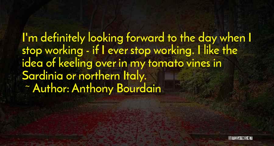 Anthony Bourdain Quotes: I'm Definitely Looking Forward To The Day When I Stop Working - If I Ever Stop Working. I Like The