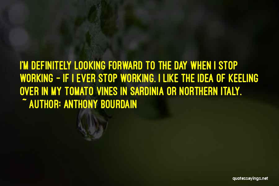 Anthony Bourdain Quotes: I'm Definitely Looking Forward To The Day When I Stop Working - If I Ever Stop Working. I Like The