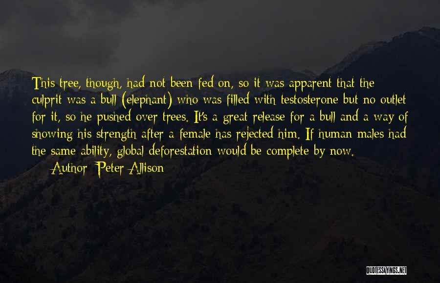 Peter Allison Quotes: This Tree, Though, Had Not Been Fed On, So It Was Apparent That The Culprit Was A Bull (elephant) Who