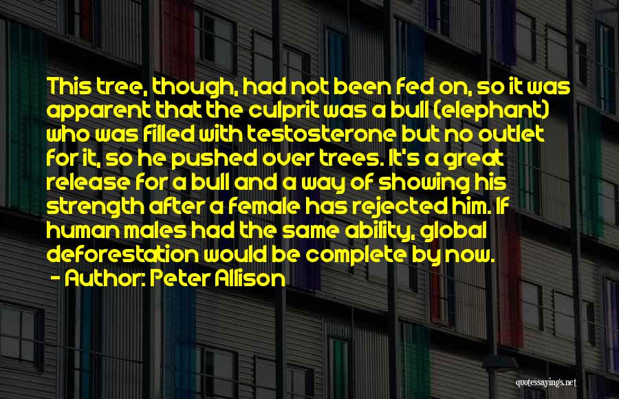 Peter Allison Quotes: This Tree, Though, Had Not Been Fed On, So It Was Apparent That The Culprit Was A Bull (elephant) Who