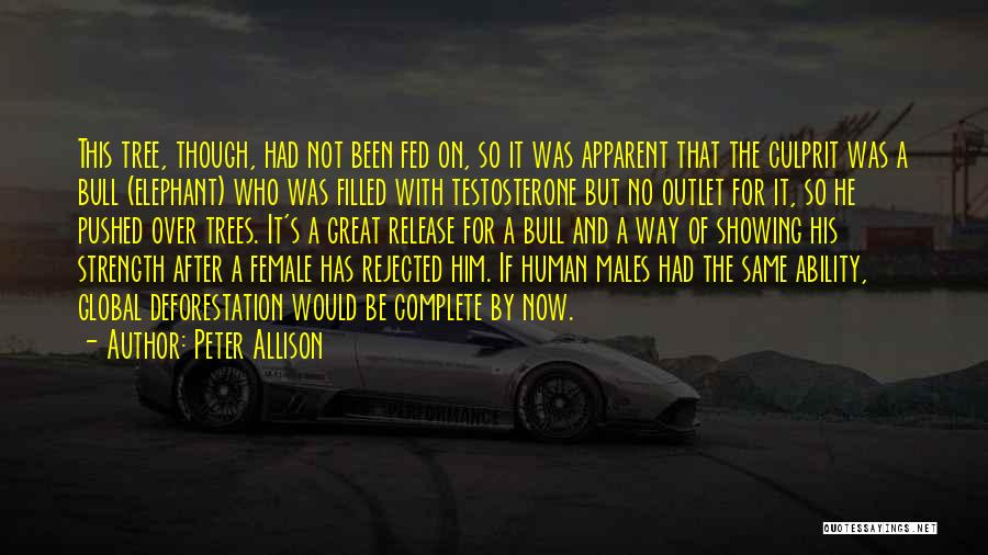 Peter Allison Quotes: This Tree, Though, Had Not Been Fed On, So It Was Apparent That The Culprit Was A Bull (elephant) Who