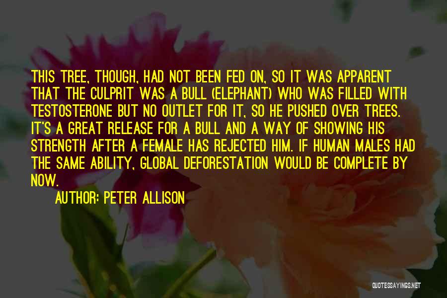 Peter Allison Quotes: This Tree, Though, Had Not Been Fed On, So It Was Apparent That The Culprit Was A Bull (elephant) Who