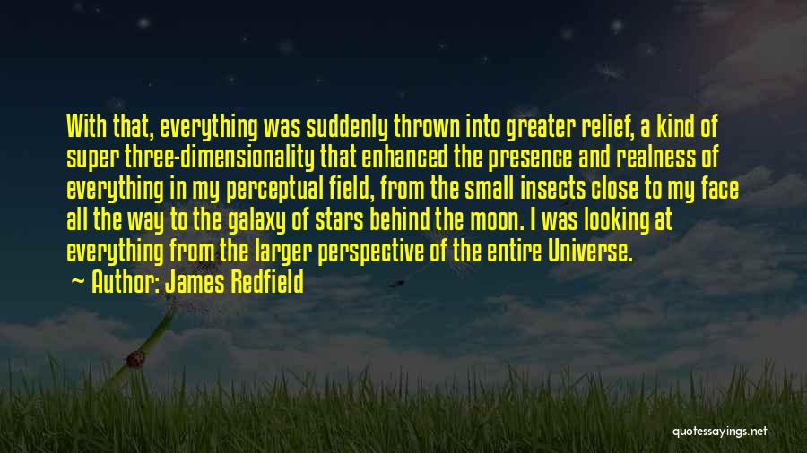 James Redfield Quotes: With That, Everything Was Suddenly Thrown Into Greater Relief, A Kind Of Super Three-dimensionality That Enhanced The Presence And Realness