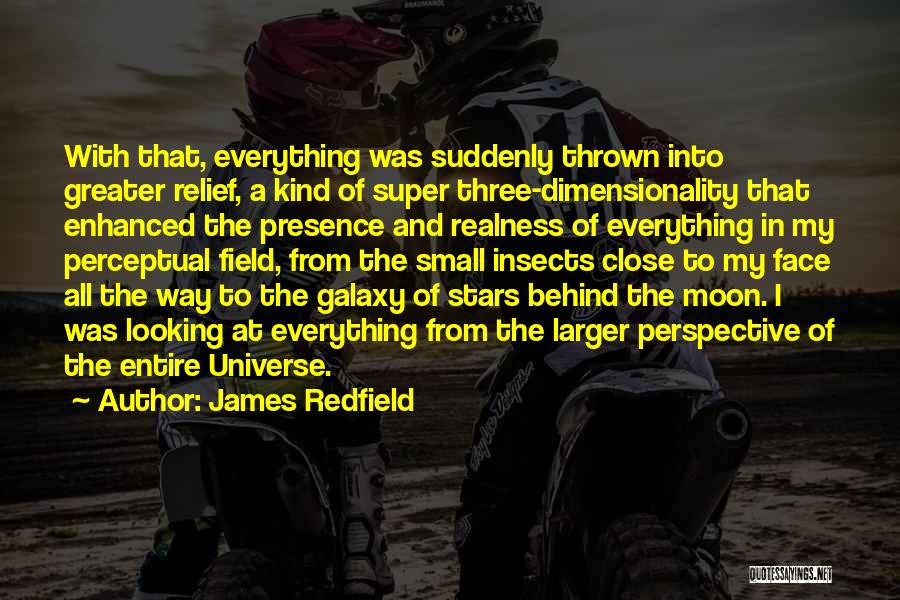 James Redfield Quotes: With That, Everything Was Suddenly Thrown Into Greater Relief, A Kind Of Super Three-dimensionality That Enhanced The Presence And Realness