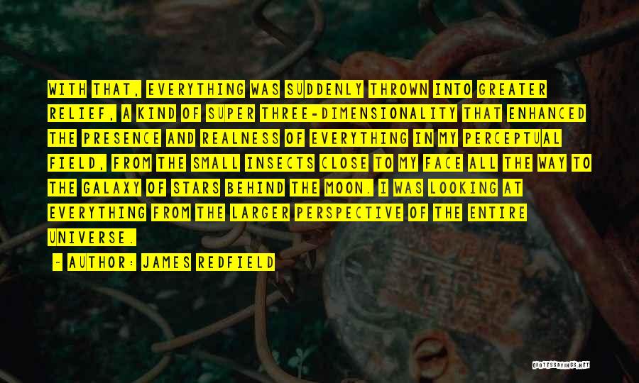 James Redfield Quotes: With That, Everything Was Suddenly Thrown Into Greater Relief, A Kind Of Super Three-dimensionality That Enhanced The Presence And Realness