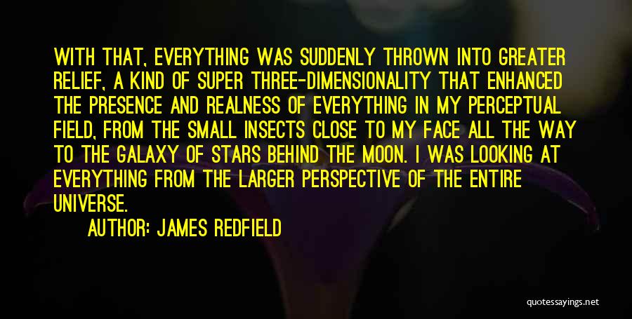 James Redfield Quotes: With That, Everything Was Suddenly Thrown Into Greater Relief, A Kind Of Super Three-dimensionality That Enhanced The Presence And Realness