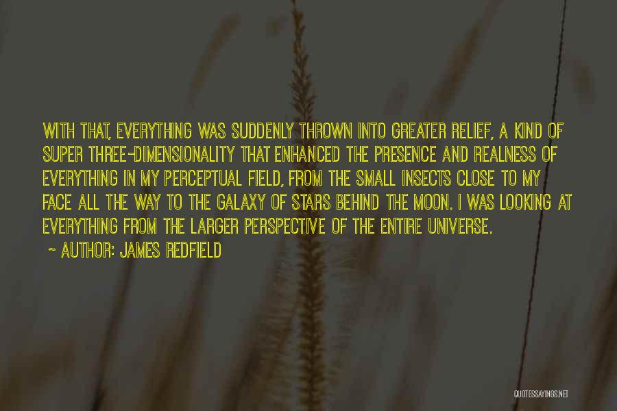 James Redfield Quotes: With That, Everything Was Suddenly Thrown Into Greater Relief, A Kind Of Super Three-dimensionality That Enhanced The Presence And Realness