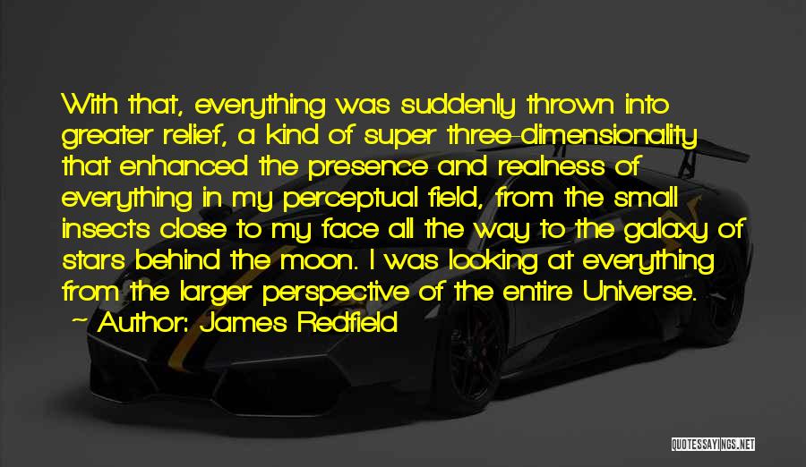 James Redfield Quotes: With That, Everything Was Suddenly Thrown Into Greater Relief, A Kind Of Super Three-dimensionality That Enhanced The Presence And Realness