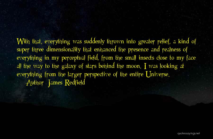 James Redfield Quotes: With That, Everything Was Suddenly Thrown Into Greater Relief, A Kind Of Super Three-dimensionality That Enhanced The Presence And Realness