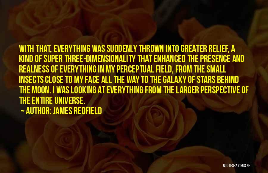 James Redfield Quotes: With That, Everything Was Suddenly Thrown Into Greater Relief, A Kind Of Super Three-dimensionality That Enhanced The Presence And Realness