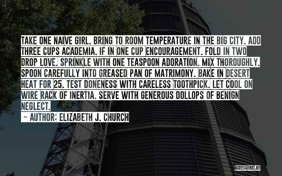 Elizabeth J. Church Quotes: Take One Naive Girl. Bring To Room Temperature In The Big City. Add Three Cups Academia. If In One Cup