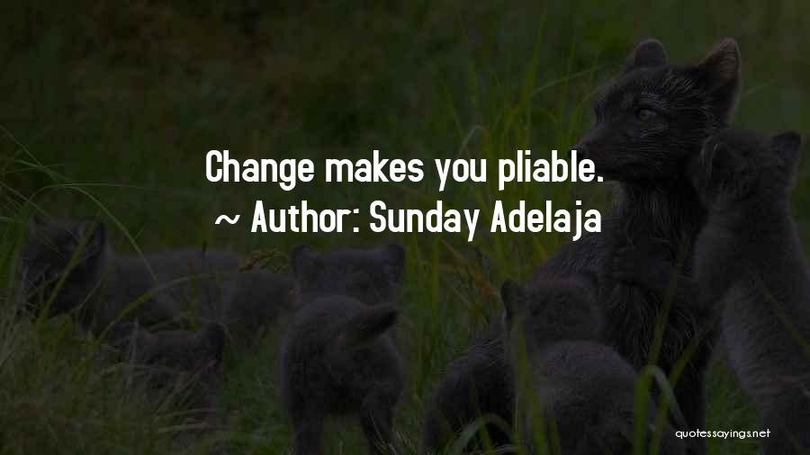 Sunday Adelaja Quotes: Change Makes You Pliable.