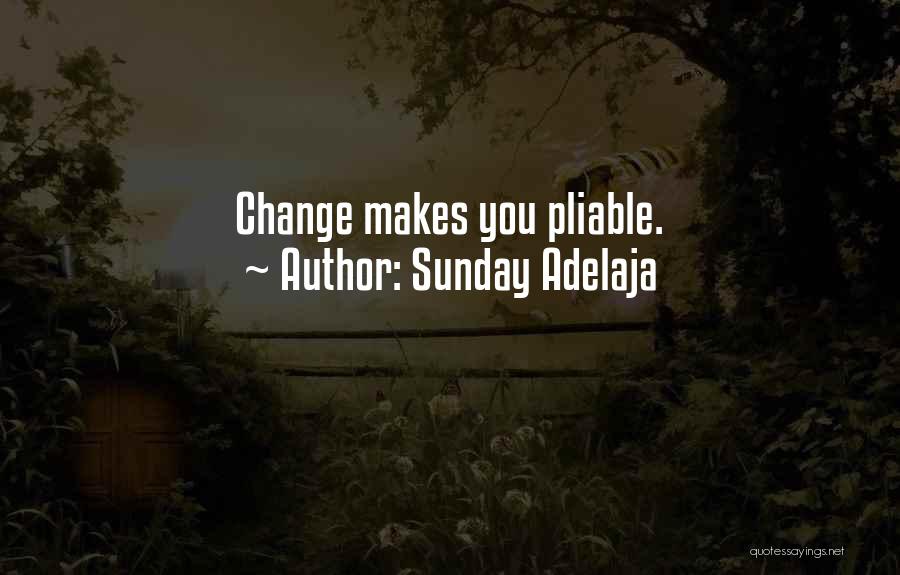 Sunday Adelaja Quotes: Change Makes You Pliable.