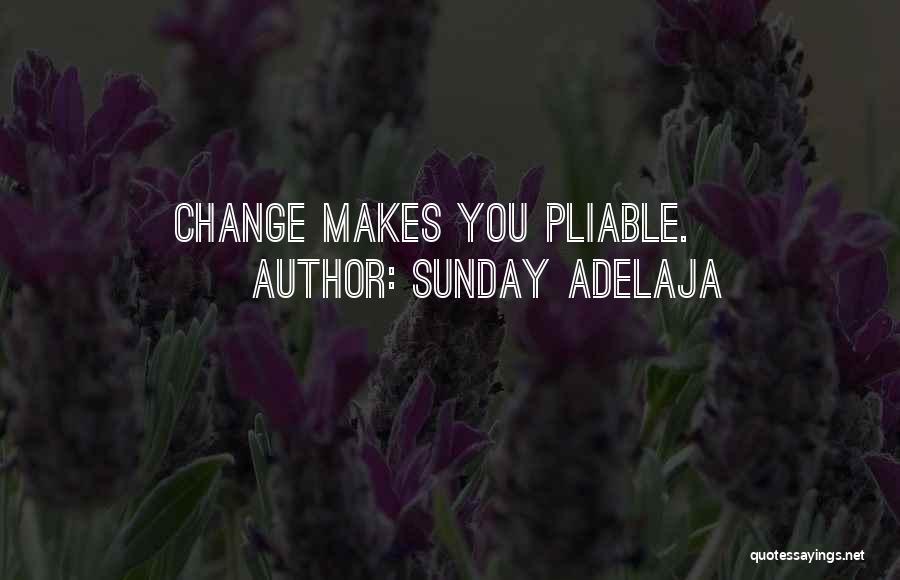 Sunday Adelaja Quotes: Change Makes You Pliable.