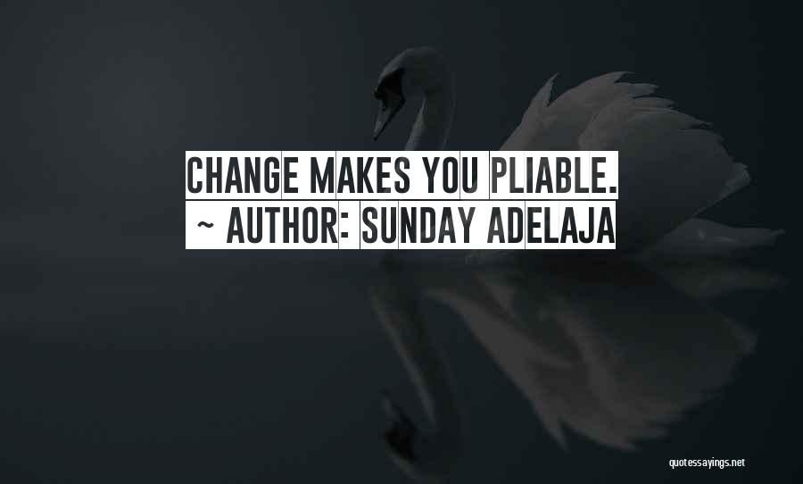 Sunday Adelaja Quotes: Change Makes You Pliable.
