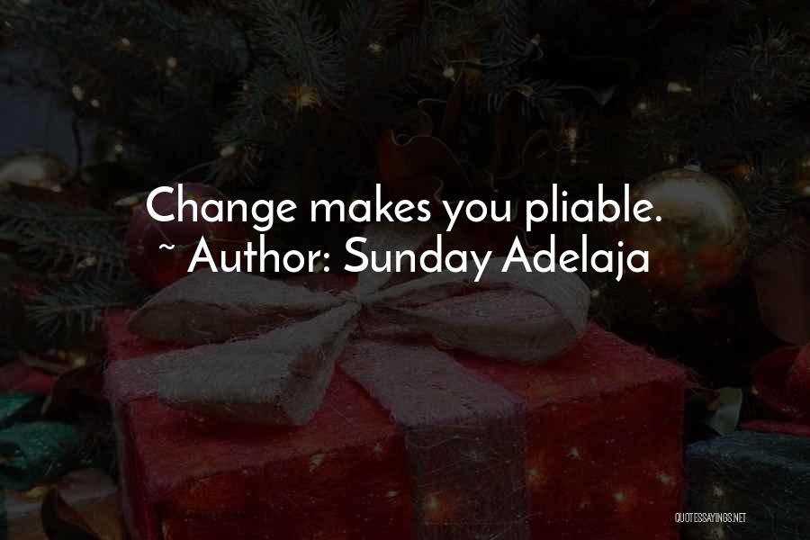 Sunday Adelaja Quotes: Change Makes You Pliable.