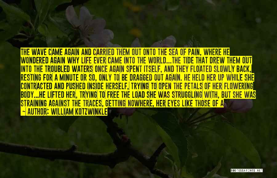William Kotzwinkle Quotes: The Wave Came Again And Carried Them Out Onto The Sea Of Pain, Where He Wondered Again Why Life Ever