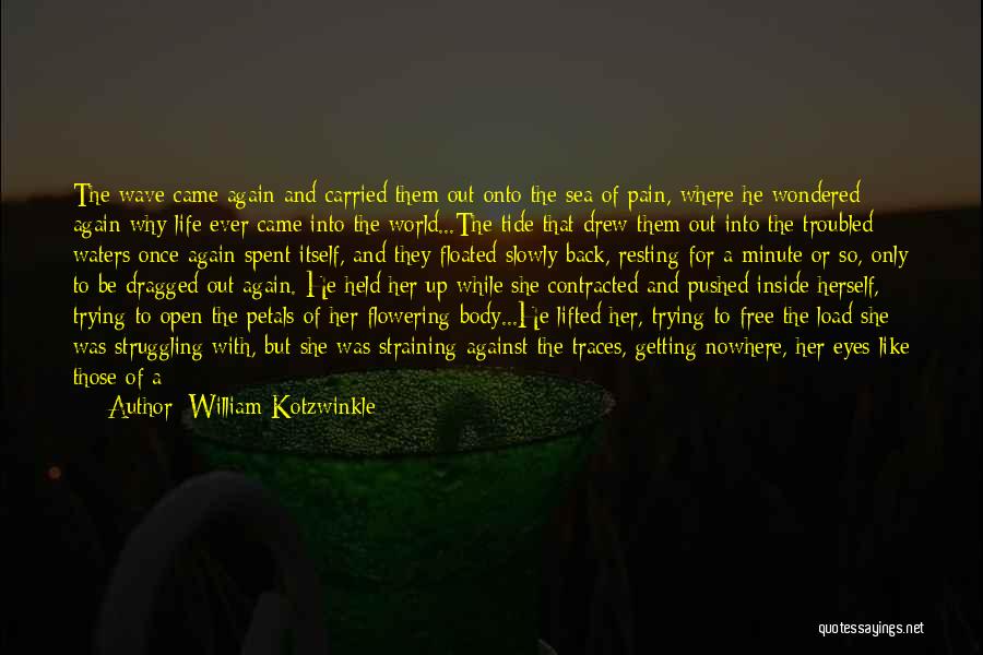 William Kotzwinkle Quotes: The Wave Came Again And Carried Them Out Onto The Sea Of Pain, Where He Wondered Again Why Life Ever