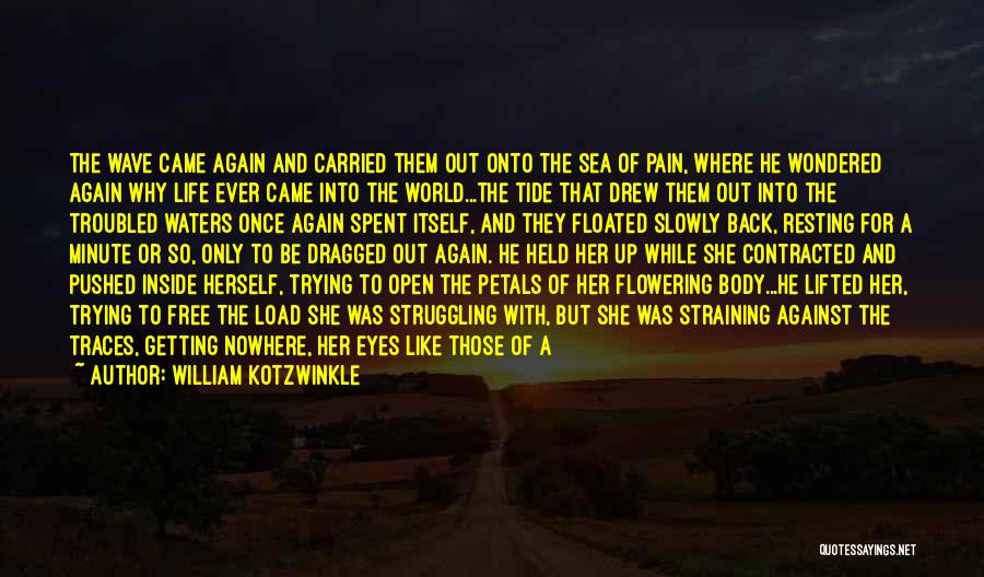 William Kotzwinkle Quotes: The Wave Came Again And Carried Them Out Onto The Sea Of Pain, Where He Wondered Again Why Life Ever