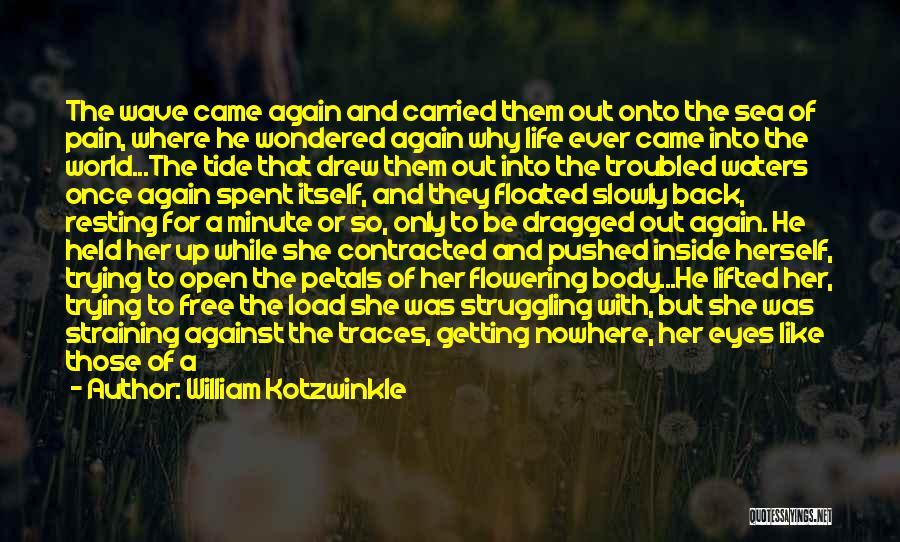 William Kotzwinkle Quotes: The Wave Came Again And Carried Them Out Onto The Sea Of Pain, Where He Wondered Again Why Life Ever