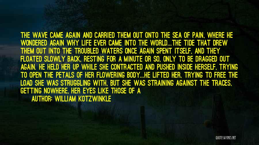 William Kotzwinkle Quotes: The Wave Came Again And Carried Them Out Onto The Sea Of Pain, Where He Wondered Again Why Life Ever