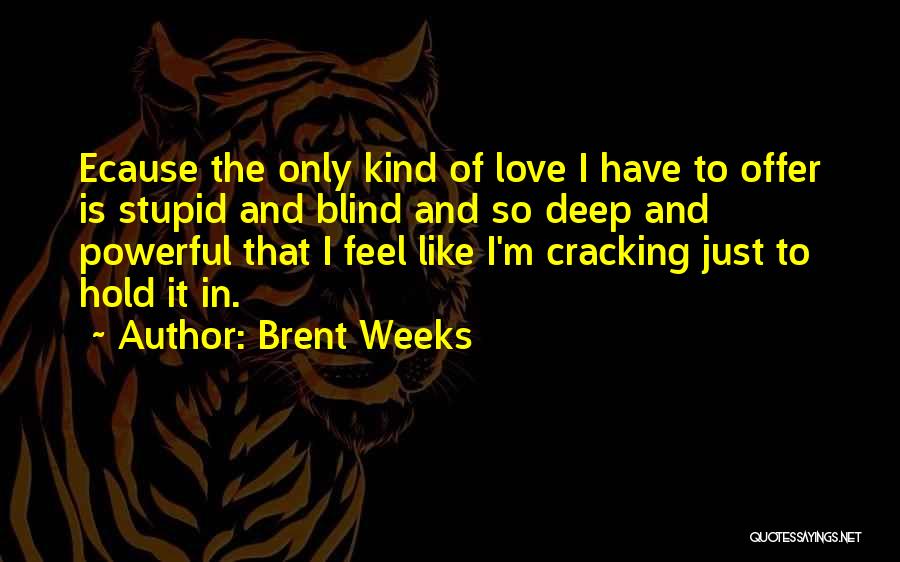 Brent Weeks Quotes: Ecause The Only Kind Of Love I Have To Offer Is Stupid And Blind And So Deep And Powerful That