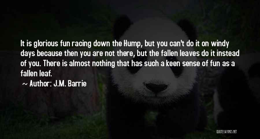 J.M. Barrie Quotes: It Is Glorious Fun Racing Down The Hump, But You Can't Do It On Windy Days Because Then You Are