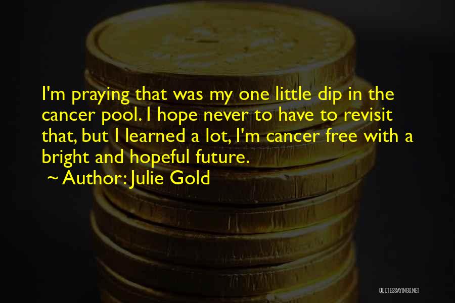 Julie Gold Quotes: I'm Praying That Was My One Little Dip In The Cancer Pool. I Hope Never To Have To Revisit That,